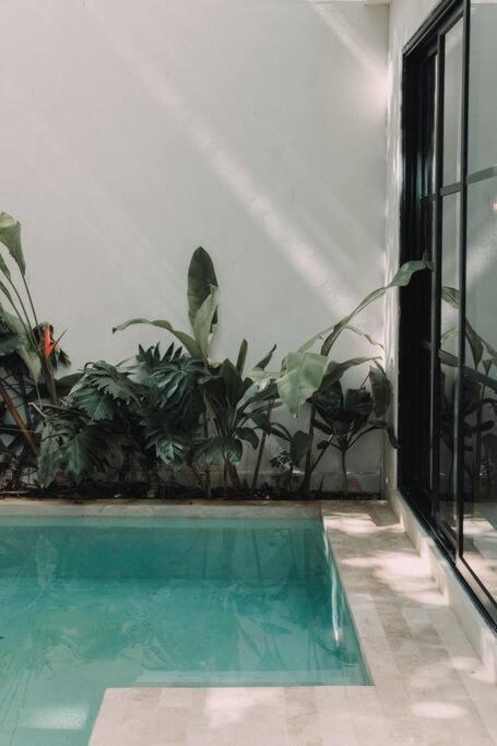 Apartamento Torana A1 Cozy Design Apt W Pvt Pool And Patio