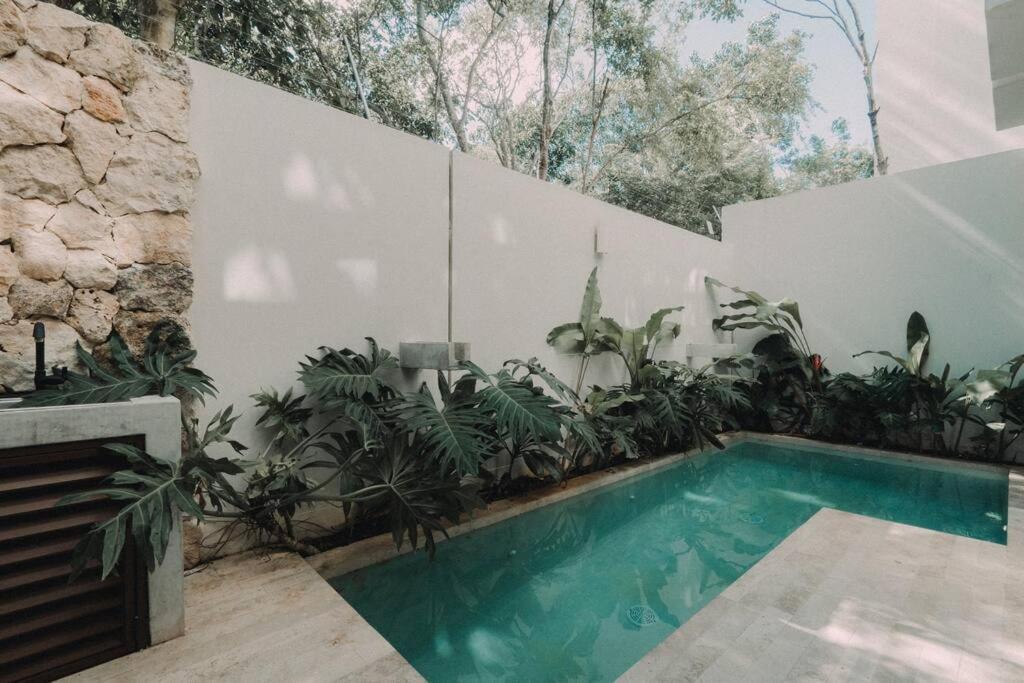 Torana A1 Cozy Design Apt W Pvt Pool And Patio